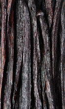 Load image into Gallery viewer, Madagascar Vanilla beans 1 kg Grade-B