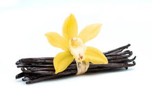 Load image into Gallery viewer, Madagascar Vanilla Bean 1/2lb Vanilla Beans  Grade B Pods
